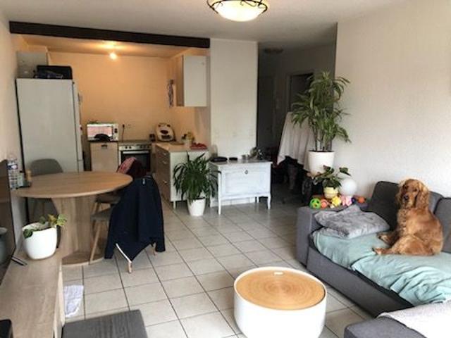 Appartement 2 pièces, 46 m² à louer à Douvaine 74140