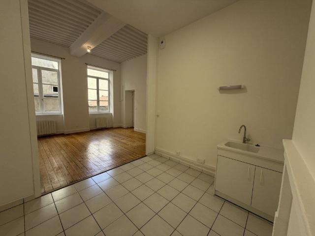Appartement 2 pièces, 50 m² à louer à Lyon 4 69004