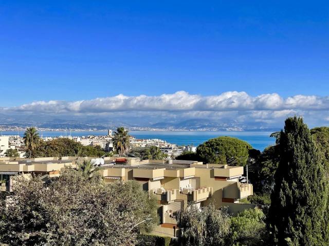 Appartement 2 pièces 50 m²