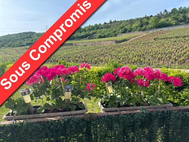 Appartement 2 pièces 52 m²