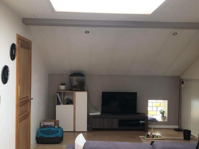 Appartement 2 pièces, 55 m² à louer à Vandœuvre lès Nancy 54500
