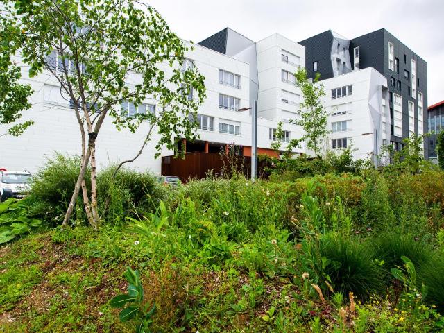 Appartement 2 pièces 55 m²