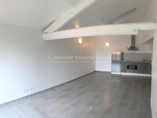 Appartement 2 pièces 55 m²