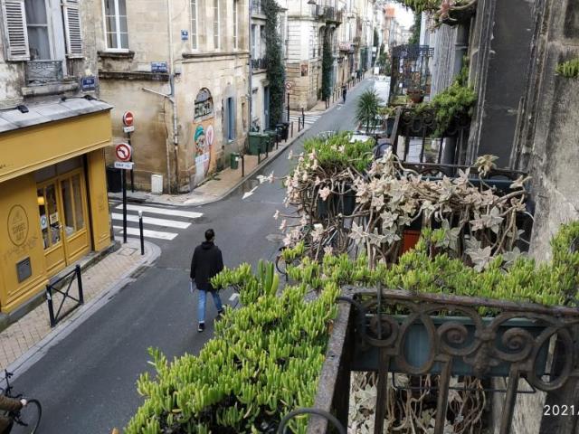 Appartement 2 pièces, 59 m² à louer à Bordeaux 33000
