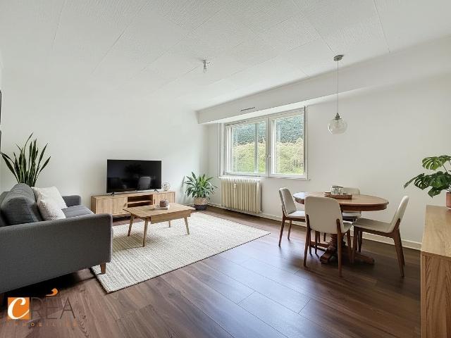 Appartement 2 pièces 62 m²