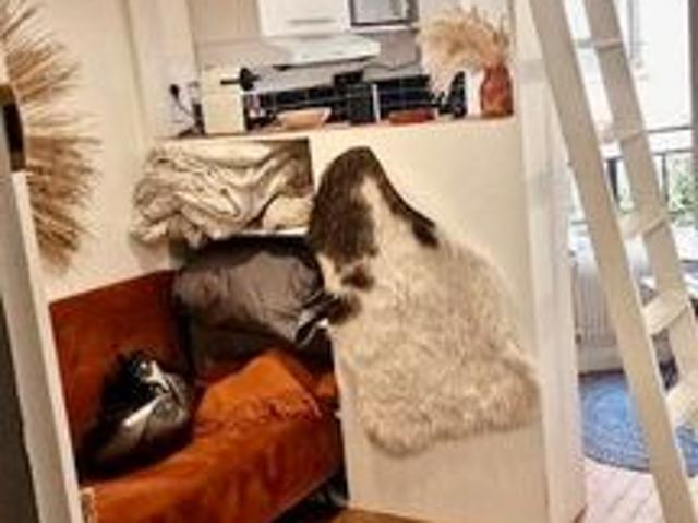 Appartement 2 pièces 9 m²