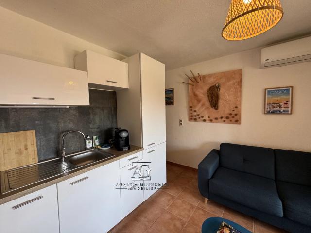 APPARTEMENT 2 PIÈCES 26M2 LINGUIZZETTA
