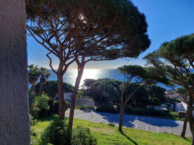 Appartement 2 Pieces 30 m2 ste maxime