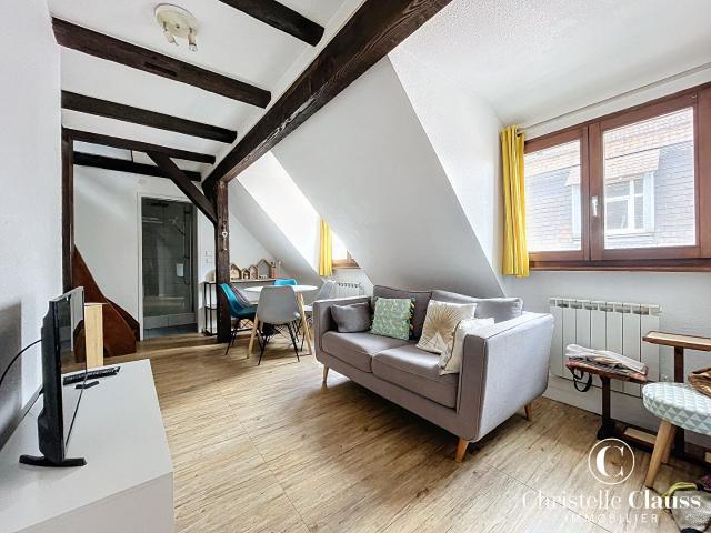 Appartement 2 pièces, 31 m² à louer à Colmar 68000