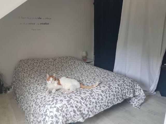 Appartement 2 pièces, 31 m² à louer à Le Havre 76600