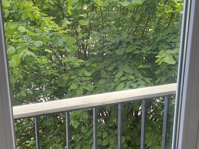 Appartement 2 pièces, 37 m² à louer à Saint Maur des Fossés 94210