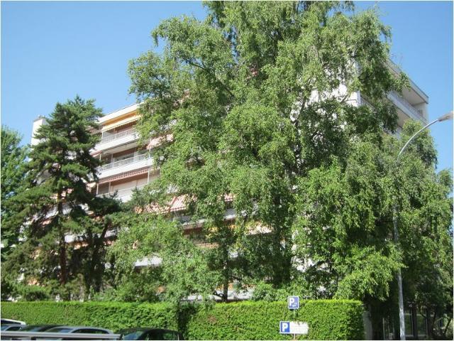 Appartement 2 pièces 35 m²