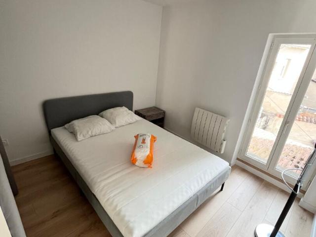 Appartement 2 pièces, 36 m² à louer à Chazelles sur Lyon 42140