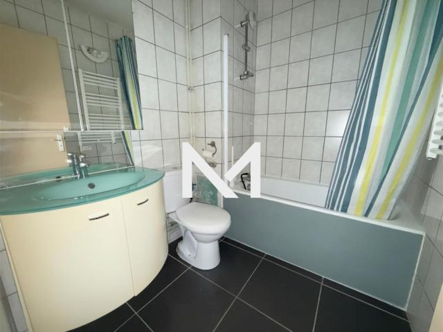 Appartement 2 pièces, 39 m² à louer à Grenoble 38000
