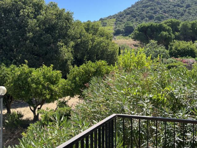 APPARTEMENT 2 PIECES A VENDRE A COLLIOURE, AVEC PARKING PRIV