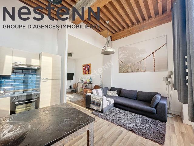Appartement 2 pièces Canut refait à neuf lumineux et trave