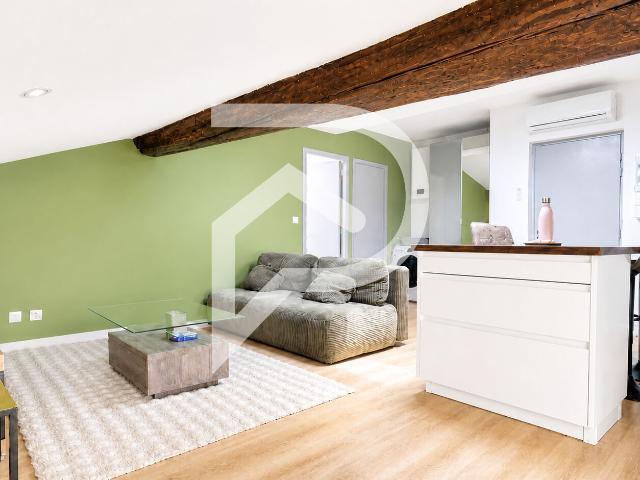 Appartement 2 pièces cocooning entièrement rénové au coeur de Castres