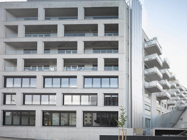 Appartement 2.5 pièces moderne et lumineux