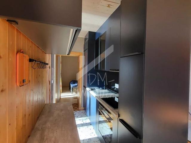 Renovated 2.5 P apartment, large south facing terrace and veranda | dreamo. Ch