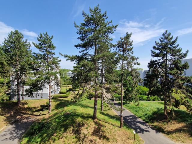 Appartement 31 m2 1 pièce