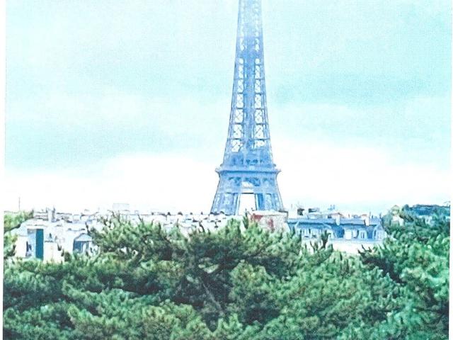 Appartement 355 m2 Neuilly sur Seine