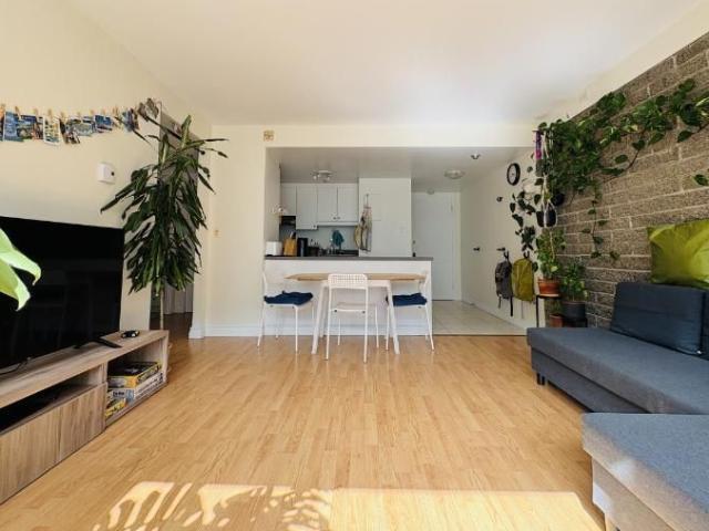 Appartement 3 ½ à louer Montcalm / Saint Sacrement octobre 2026