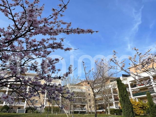 Appartement 3 pièce s 67.17 m2