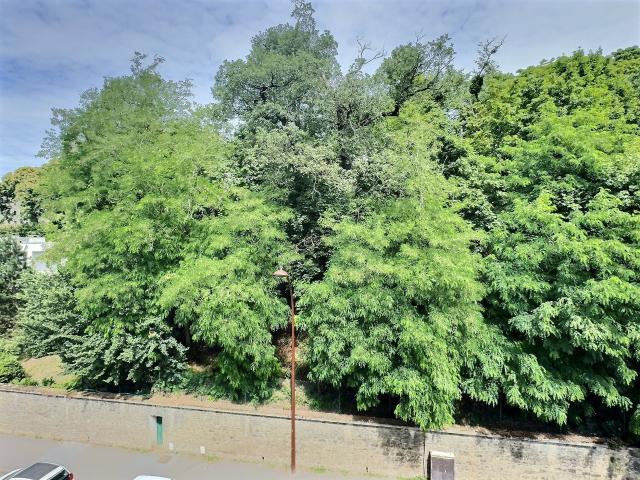 Appartement 3 pièces 42 m²