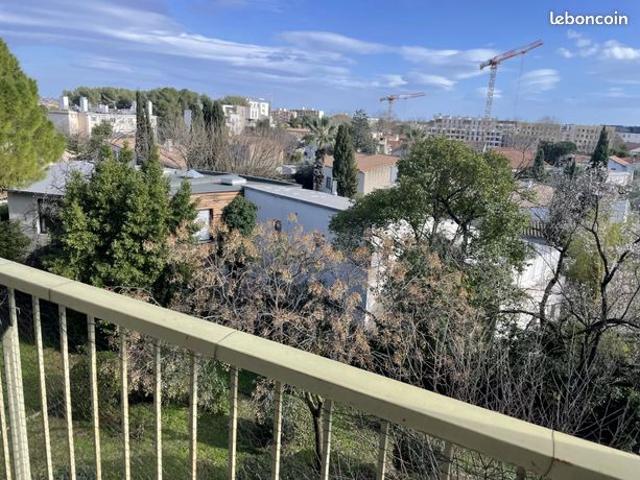 Appartement 3 pièces 45 m²