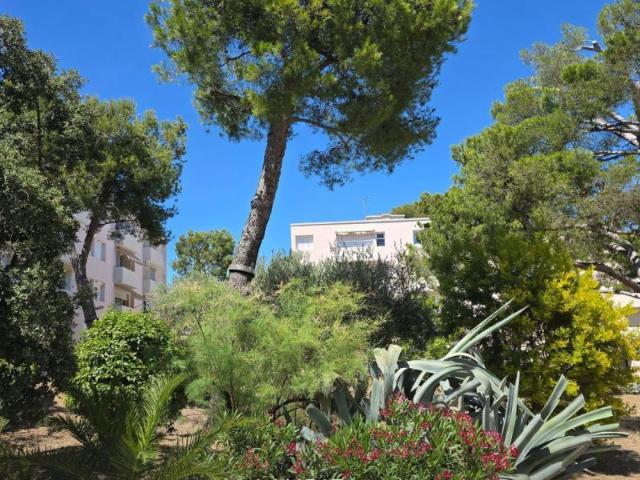 Appartement 3 pièces 49 m²