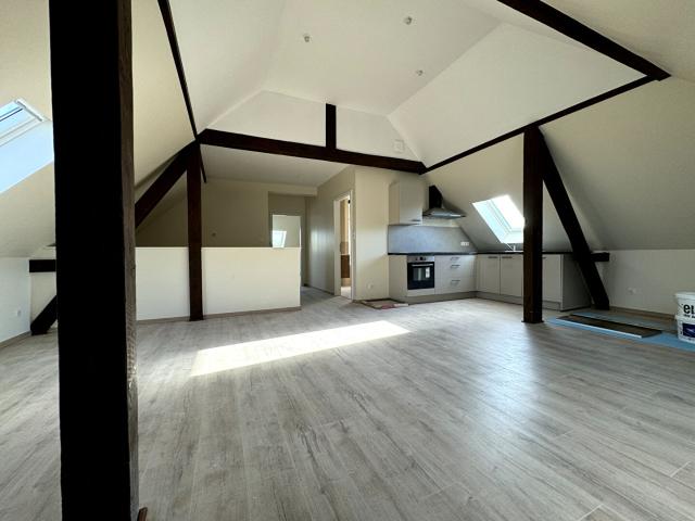 Appartement 3 pièces, 50 m² à louer à Mulhouse 68200