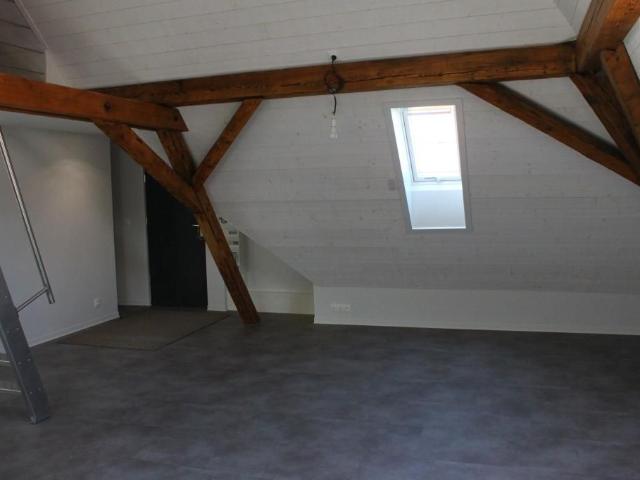Appartement 3 pièces, 50 m² à louer à Strasbourg 67000