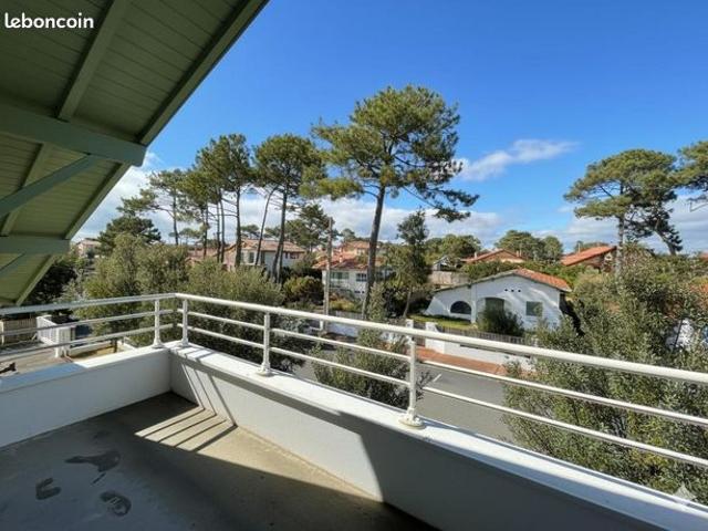 Appartement 3 pièces 50 m²