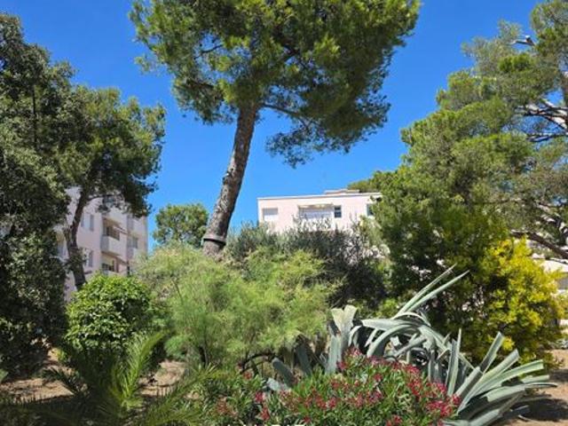 Appartement 3 pièces 50 m²