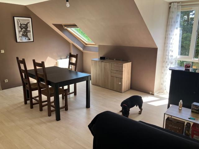 Appartement 3 pièces 51 m²