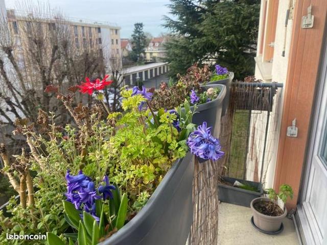 Appartement 3 pièces 52 m²