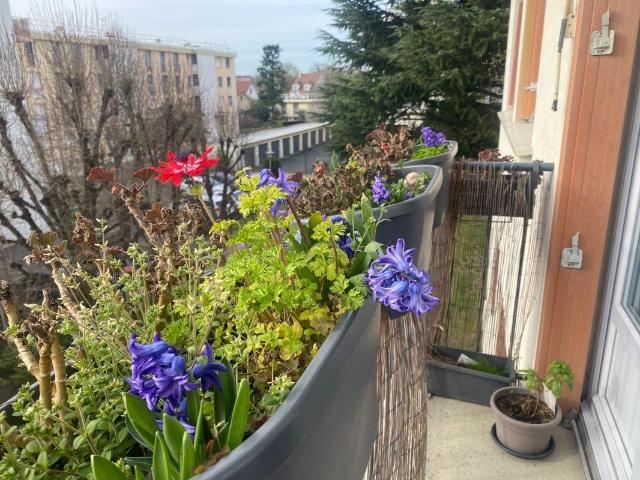 Appartement 3 pièces 52 m²