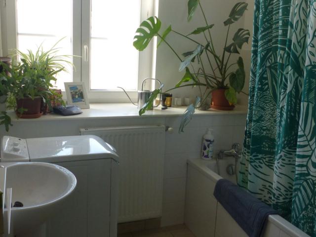 Appartement 3 pièces, 54 m² à louer à Annonay 07100