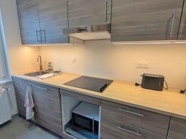 Appartement 3 pièces, 54 m² à louer à Schiltigheim 67300