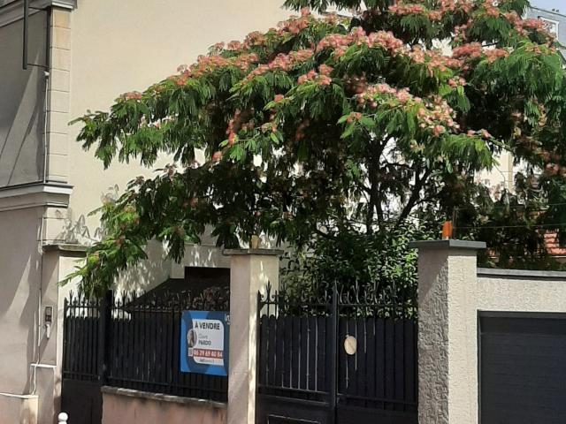Appartement 3 pièces 55 m²