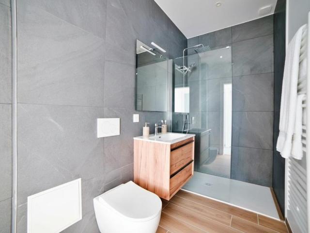 Appartement 3 pièces, 63 m² à louer à Colmar 68000