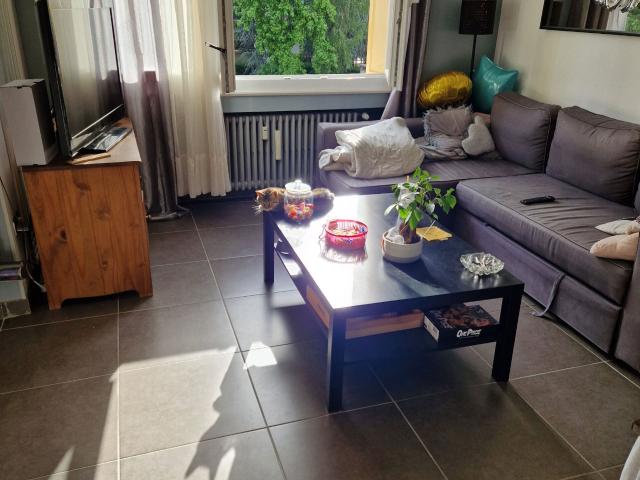 Appartement 3 pièces, 60 m² à louer à Saint Étienne 42100