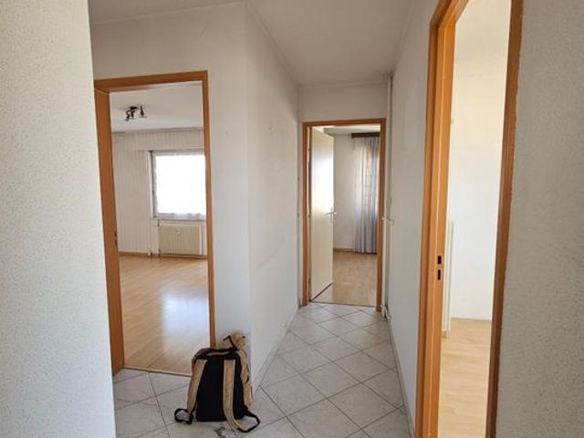 Appartement 3 pièces, 61 m² à louer à Saint Louis 68300