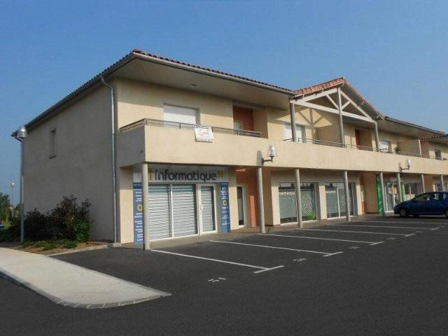 Appartement 3 pièces, 62 m² à louer à Frouzins 31270