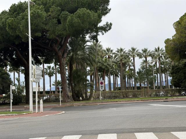 Appartement 3 pièces, 65 m² à louer à Cannes 06400