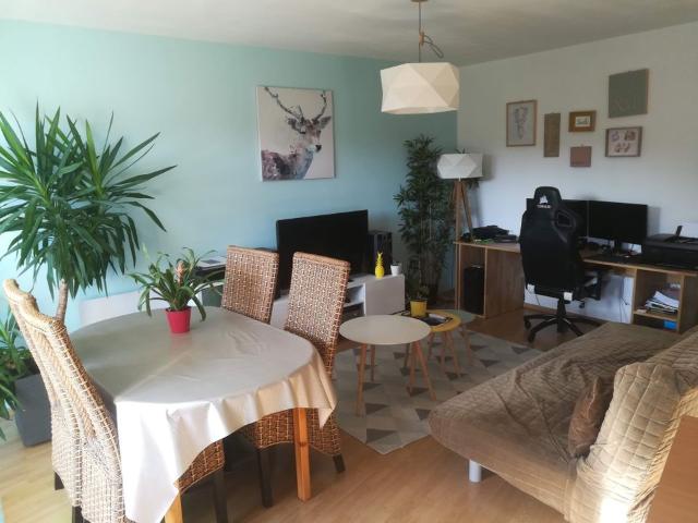 Appartement 3 pièces, 66 m² à louer à Lille 59000