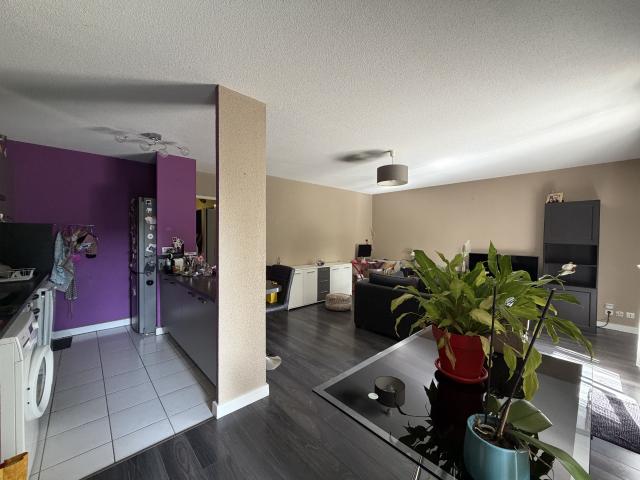 Appartement 3 pièces 66 m²