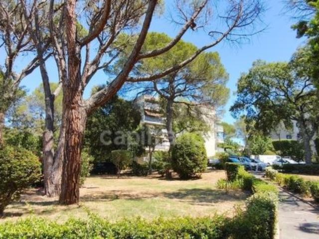 Appartement 3 pièces 71 m²