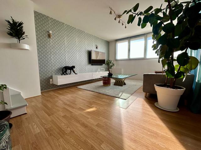 Appartement 3 pièces 74 m²