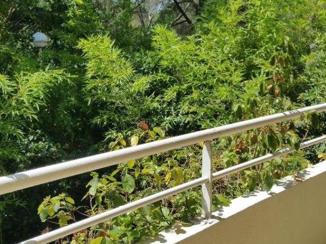 Appartement 3 pièces 79 m²
